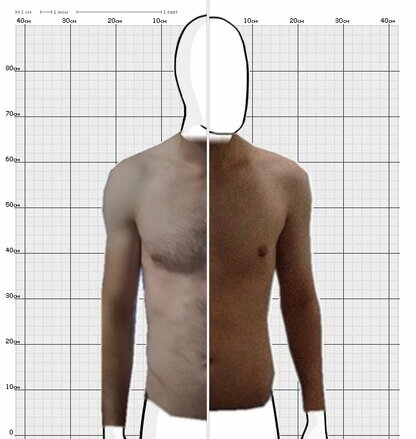 Torso Comparison