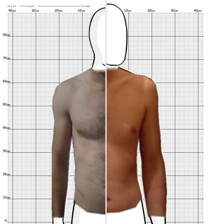 Torso Comparison