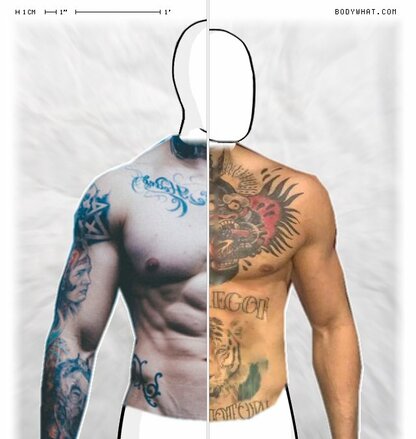 Torso Comparison