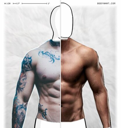 Torso Comparison