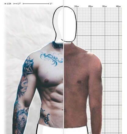 Torso Comparison