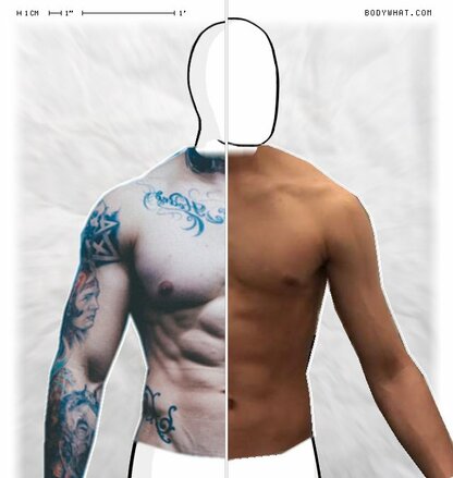 Torso Comparison