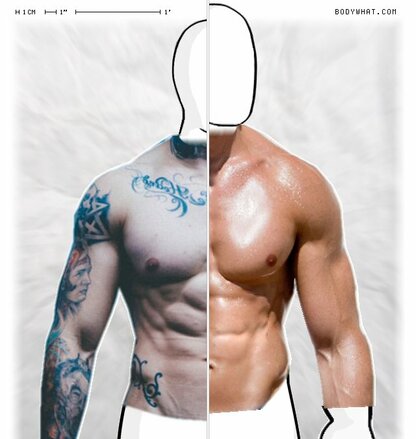 Torso Comparison