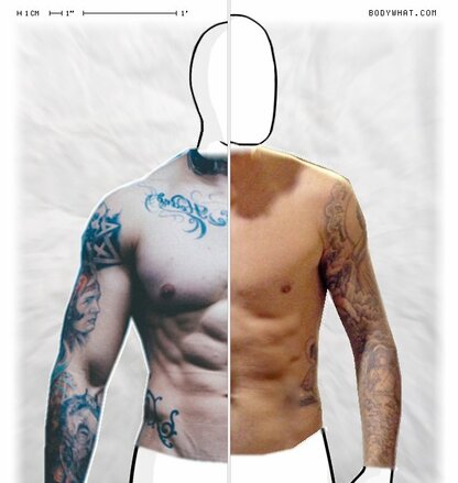 Torso Comparison