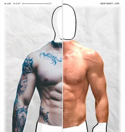 Torso Comparison