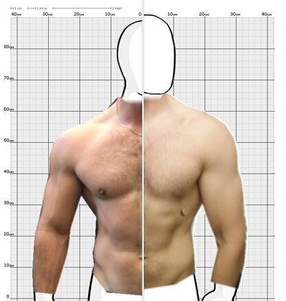 Torso Comparison