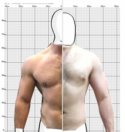 Torso Comparison