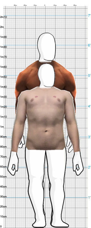 Full Size Comparison