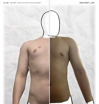 Torso Comparison