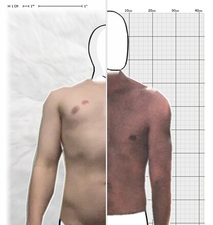 Torso Comparison