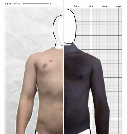 Torso Comparison