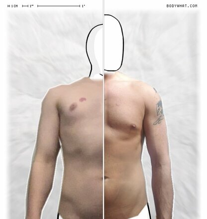 Torso Comparison