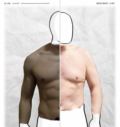 Torso Comparison