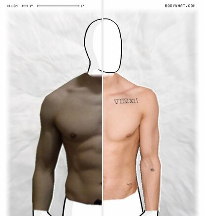 Torso Comparison