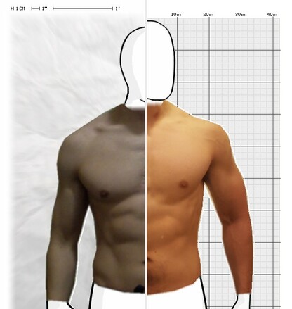 Torso Comparison