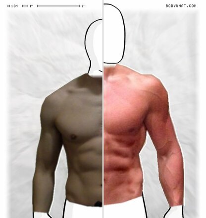 Torso Comparison