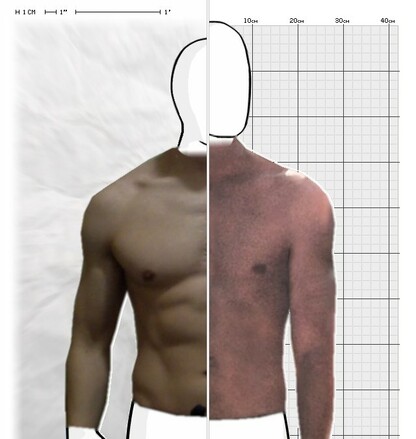 Torso Comparison