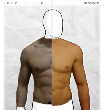 Torso Comparison