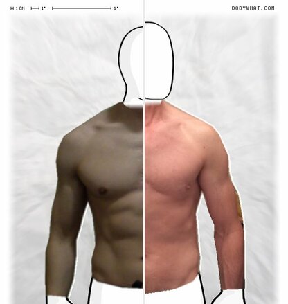 Torso Comparison