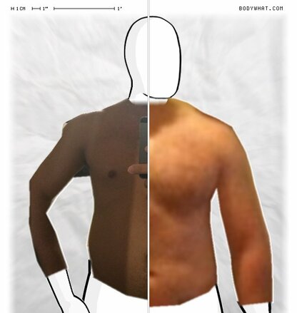 Torso Comparison