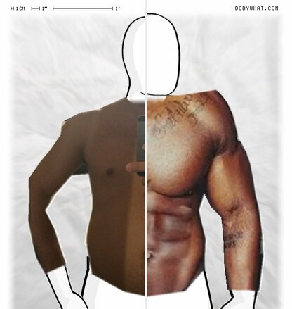 Torso Comparison