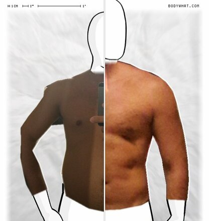 Torso Comparison