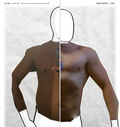 Torso Comparison