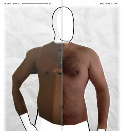 Torso Comparison