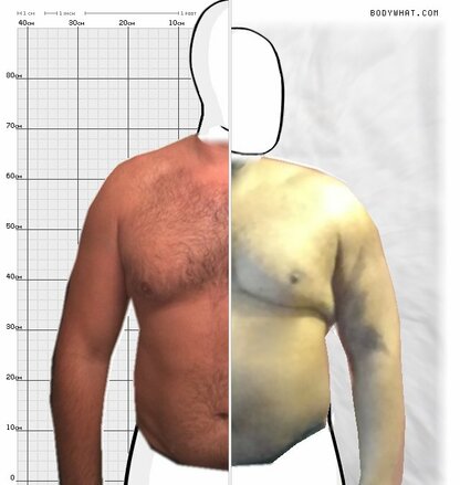 Torso Comparison