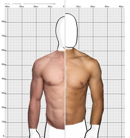 Torso Comparison