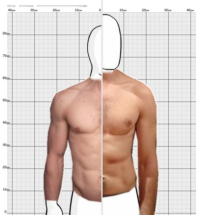 Torso Comparison