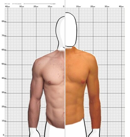 Torso Comparison