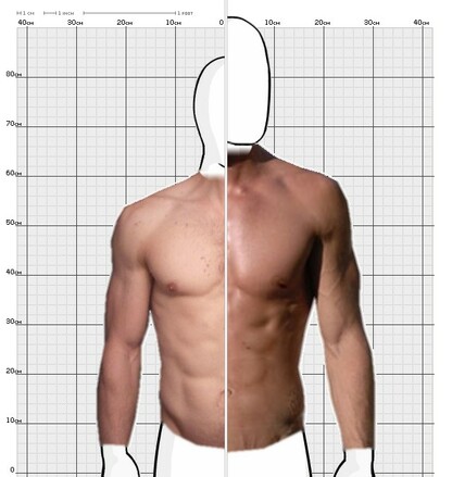 Torso Comparison