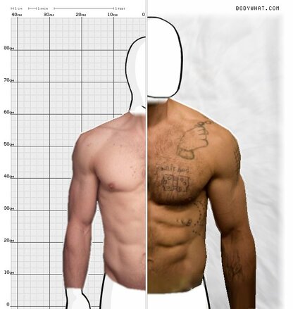 Torso Comparison