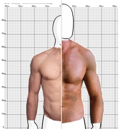 Torso Comparison