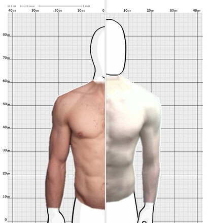 Torso Comparison