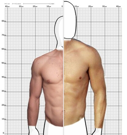 Torso Comparison