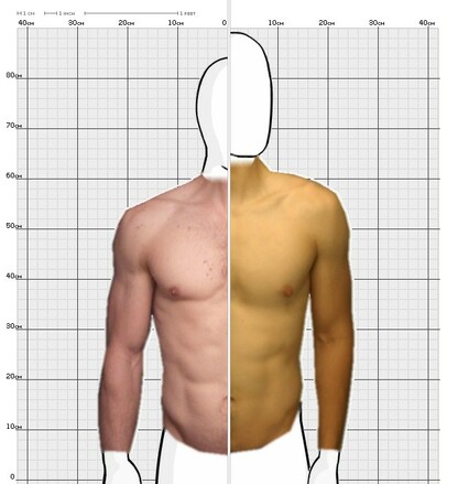 Torso Comparison