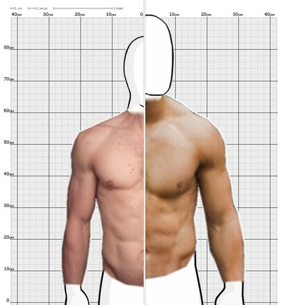 Torso Comparison