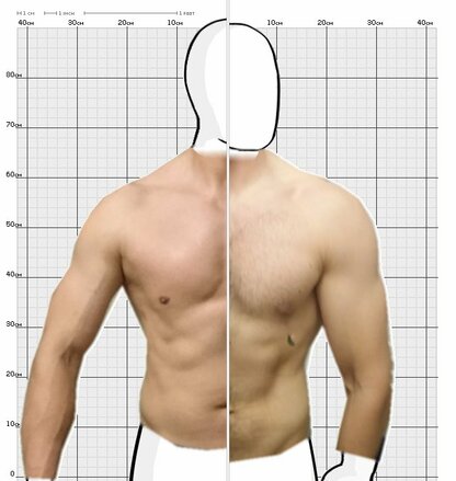 Torso Comparison