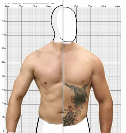 Torso Comparison