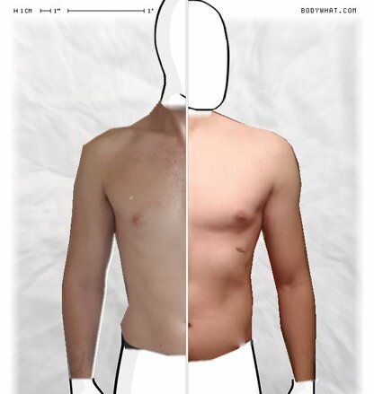 Torso Comparison