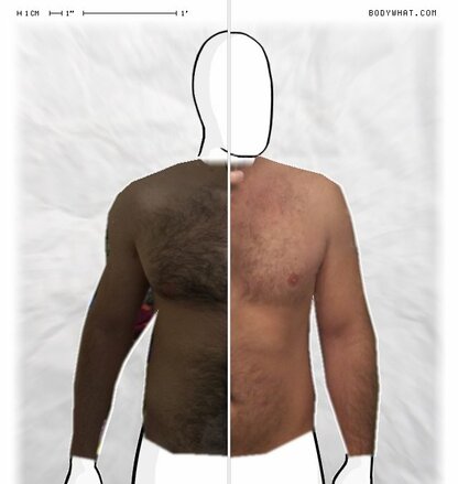 Torso Comparison