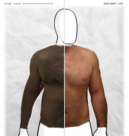 Torso Comparison