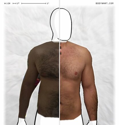 Torso Comparison