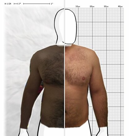 Torso Comparison