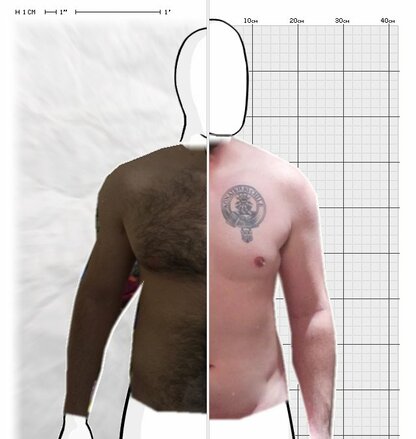 Torso Comparison