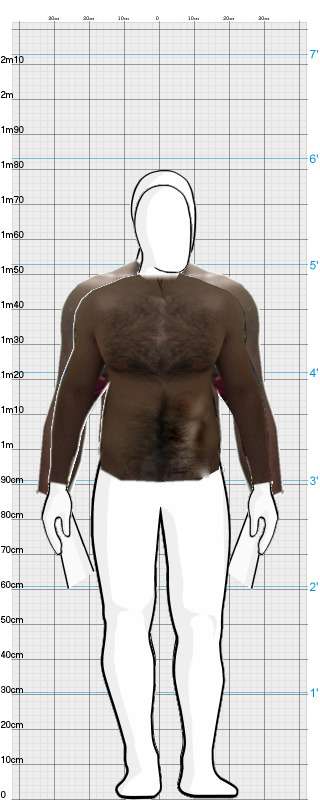 Full Size Comparison