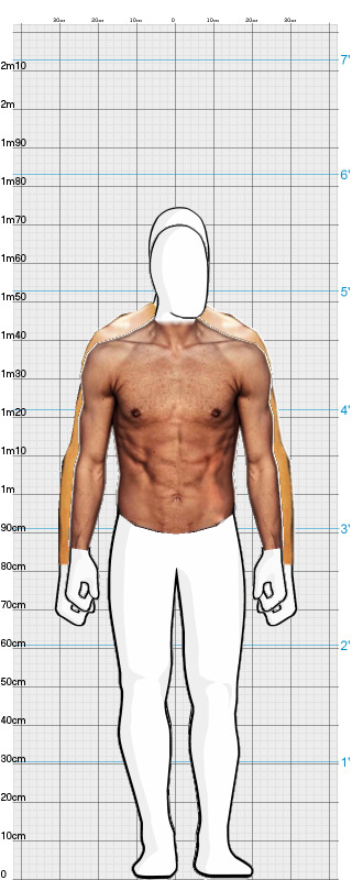 Full Size Comparison