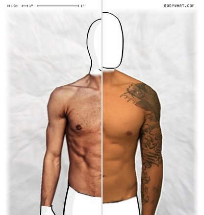 Torso Comparison